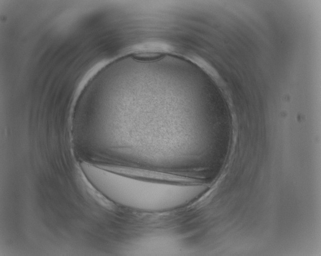 X0000070371248200606231639