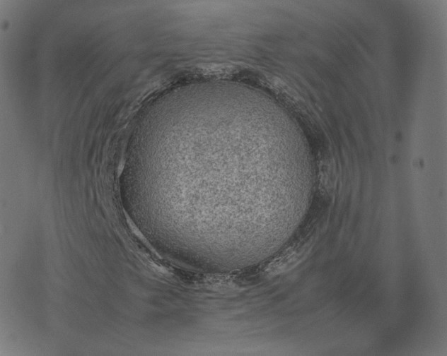 X0000070371249200606231639