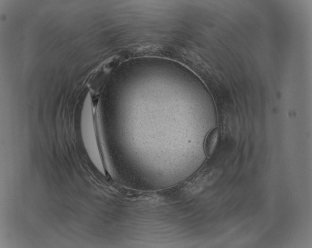 X0000070371250200606231639