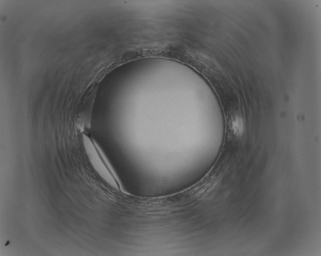 X0000070371252200606231638