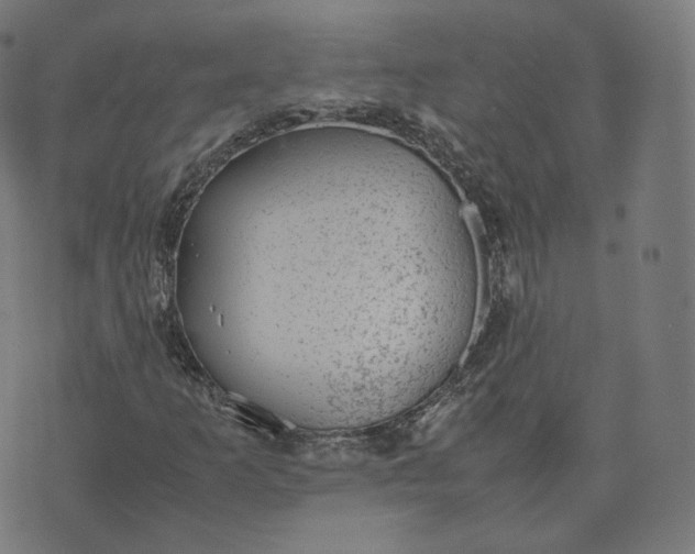 X0000070371253200606231638