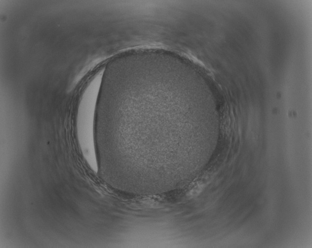 X0000070371255200606231638