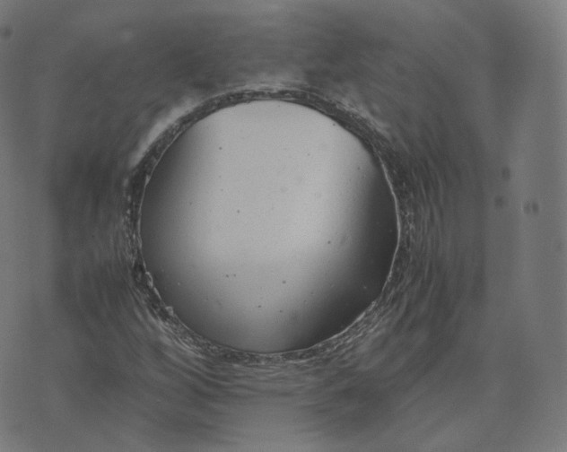 X0000070371256200606231638