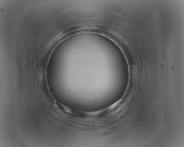 X0000070371257200606231638