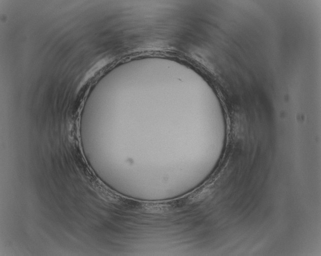 X0000070371258200606231638