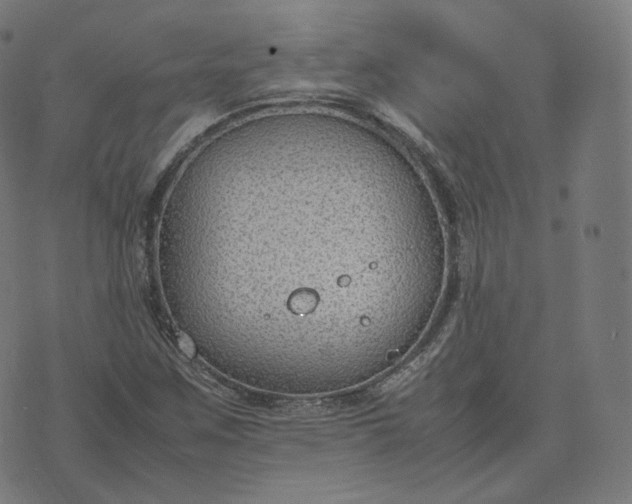 X0000070371259200606231638