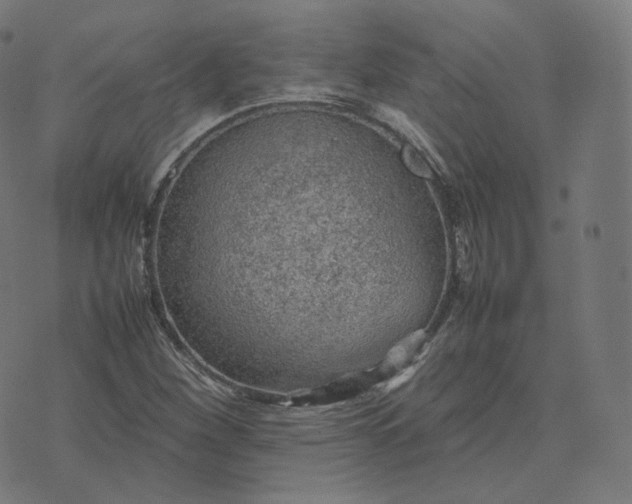 X0000070371260200606231638