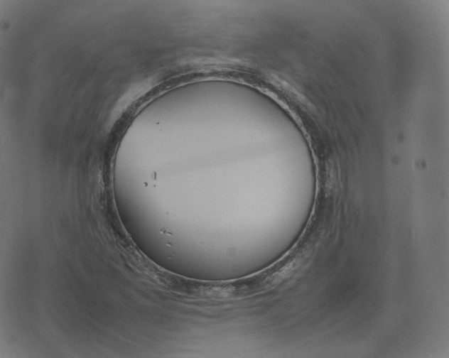 X0000070371261200606231638