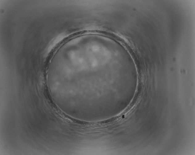 X0000070371263200606231638