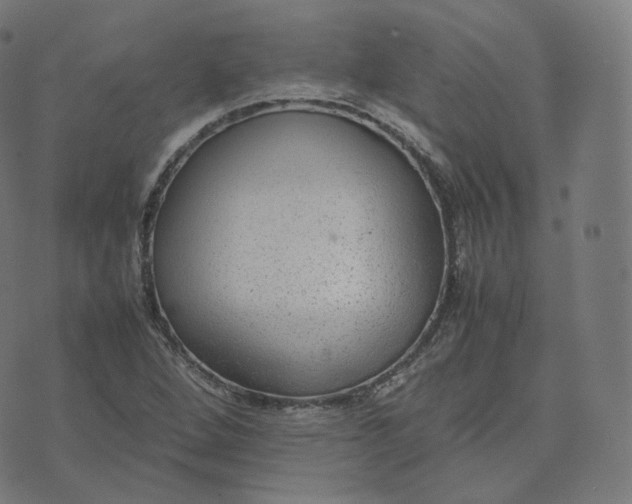 X0000070371264200606231638