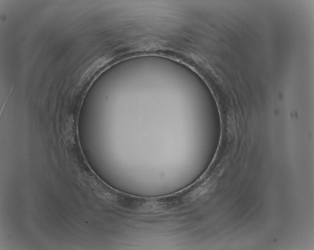 X0000070371265200606231638