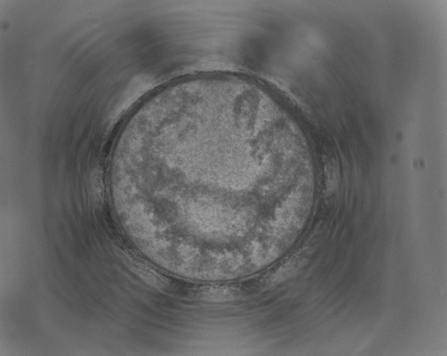 X0000070371266200606231638