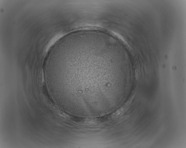 X0000070371267200606231638