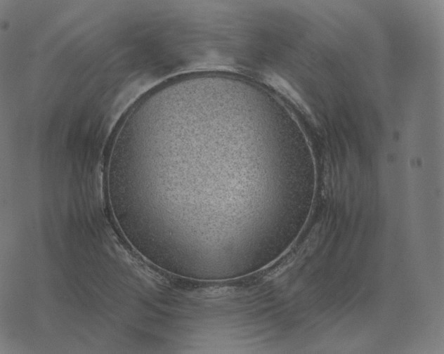 X0000070371268200606231638