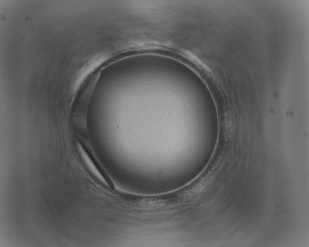 X0000070371269200606231638