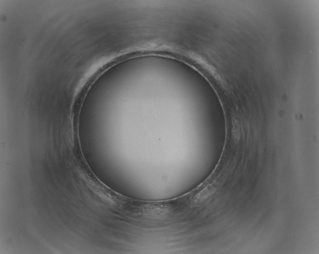 X0000070371270200606231638