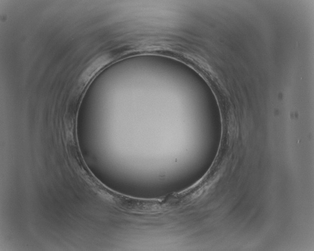 X0000070371273200606231638