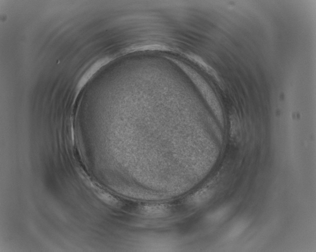 X0000070371274200606231638