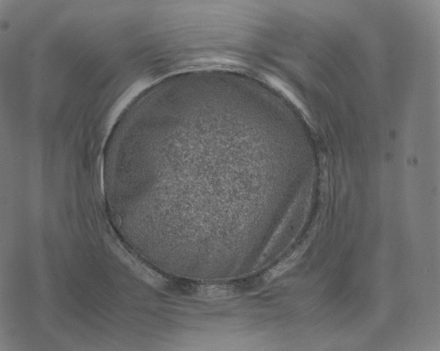 X0000070371275200606231638