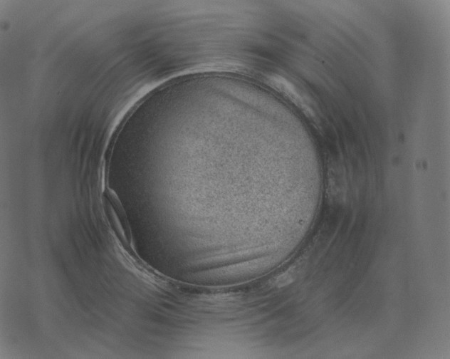 X0000070371276200606231638