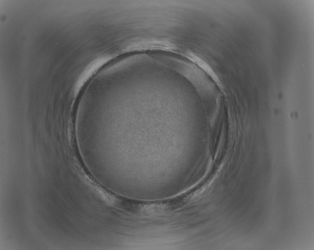 X0000070371277200606231638