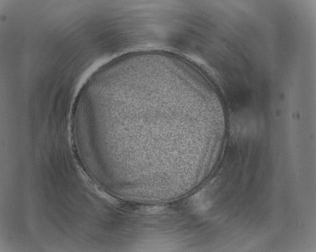 X0000070371278200606231638