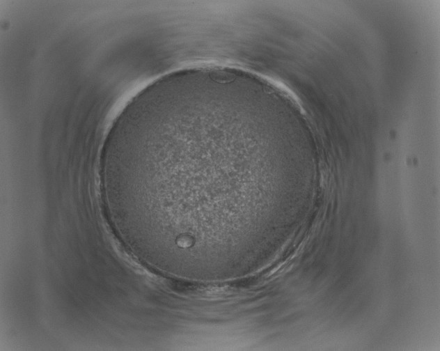 X0000070371279200606231638