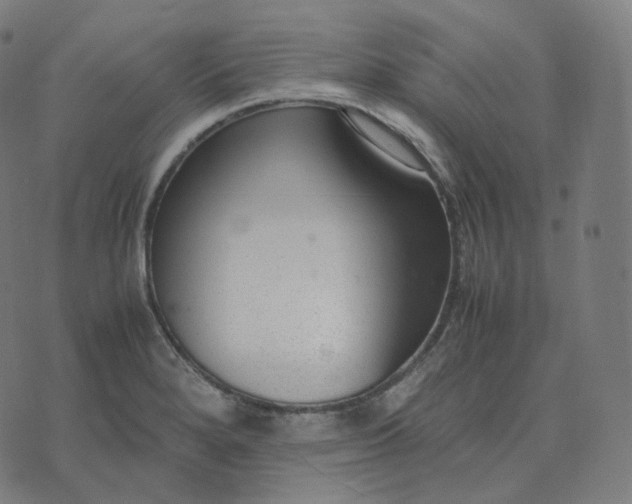 X0000070371280200606231638