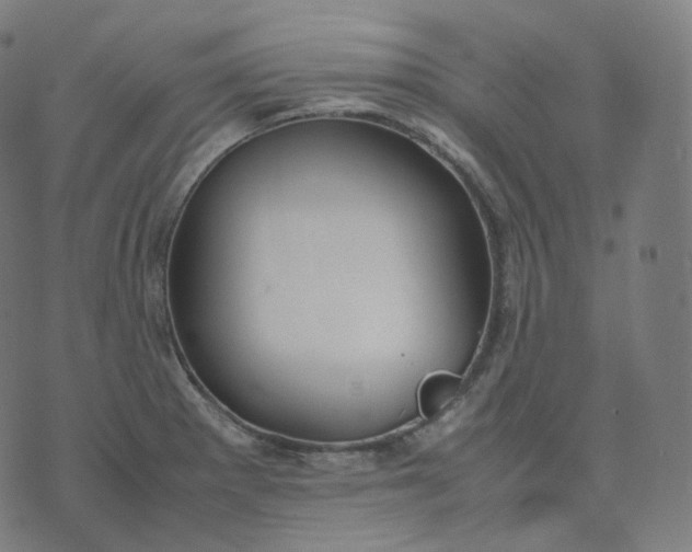 X0000070371281200606231638