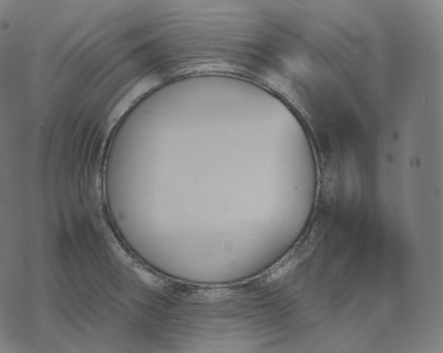 X0000070371282200606231638