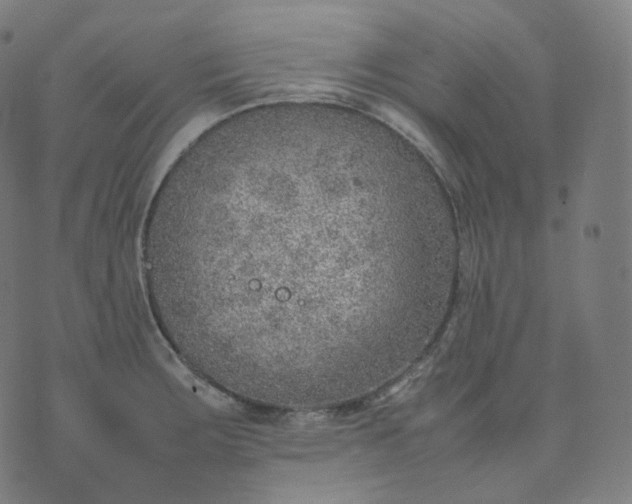 X0000070371283200606231638