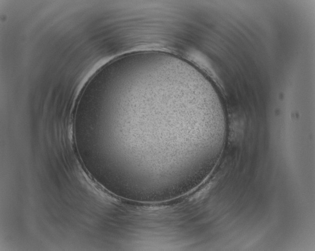 X0000070371284200606231638