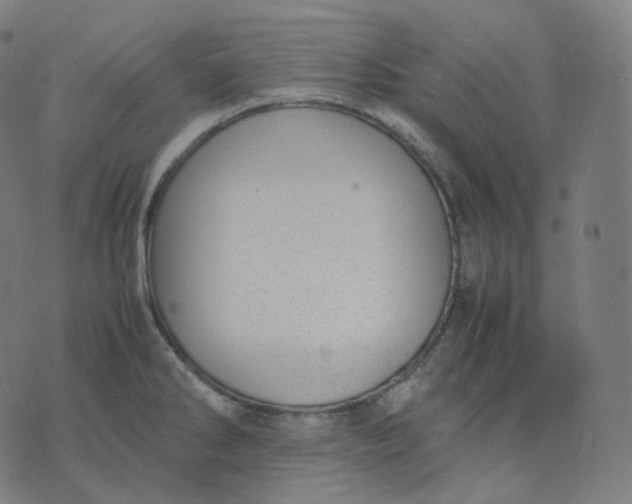 X0000070371286200606231638