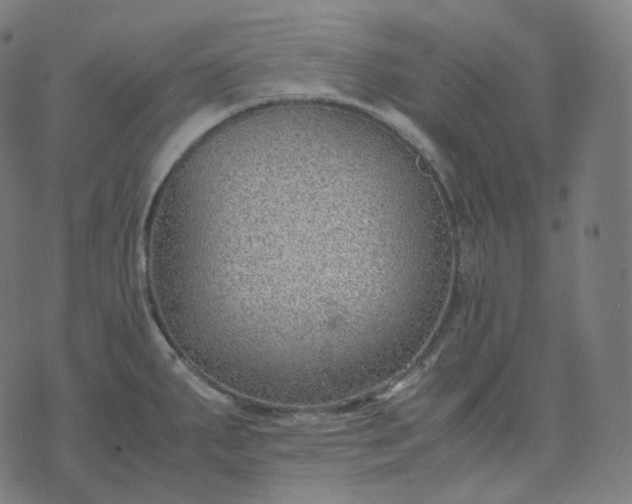 X0000070371287200606231638