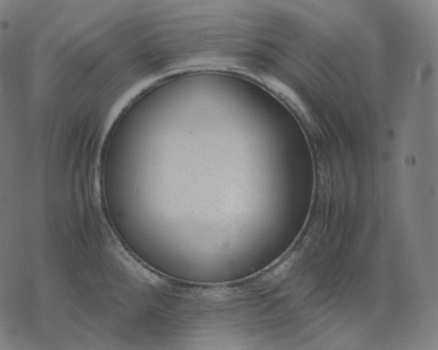 X0000070371288200606231638