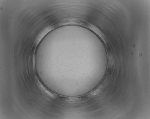 X0000070371290200606231638