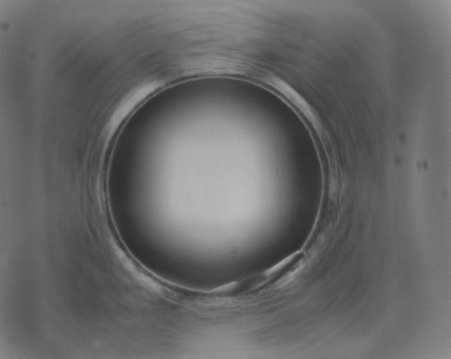 X0000070371293200606231638