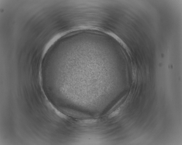 X0000070371294200606231638