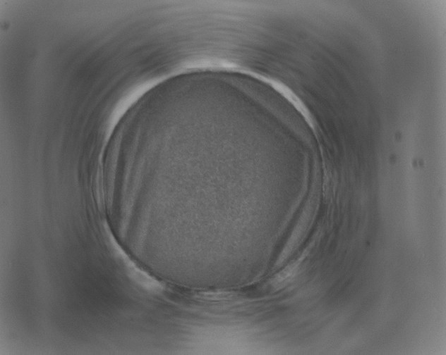 X0000070371295200606231638