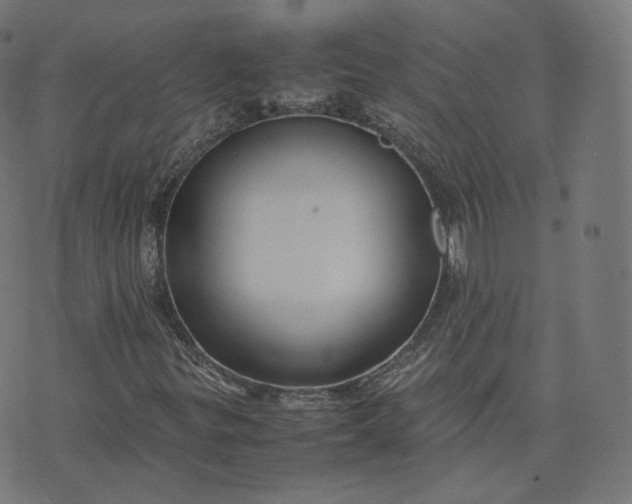 X0000070371299200606231637