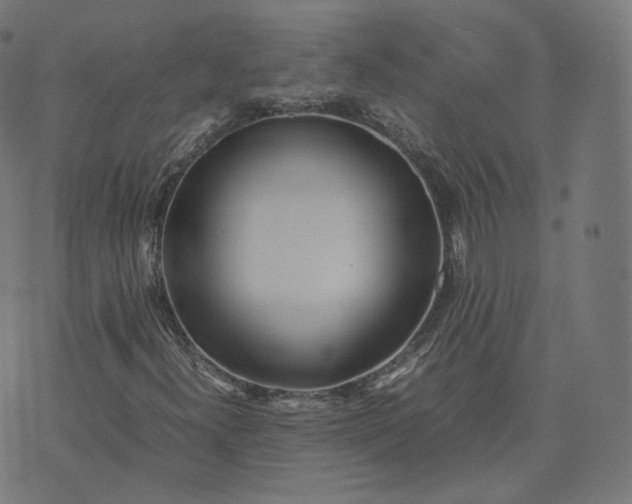 X0000070371300200606231637