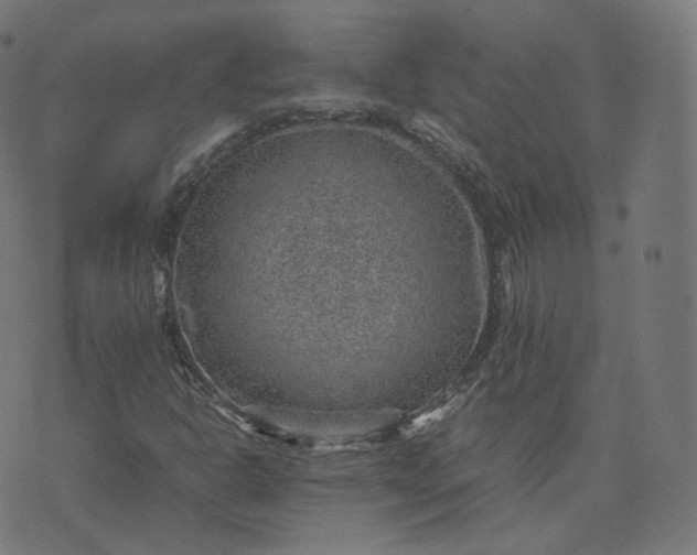 X0000070371302200606231637