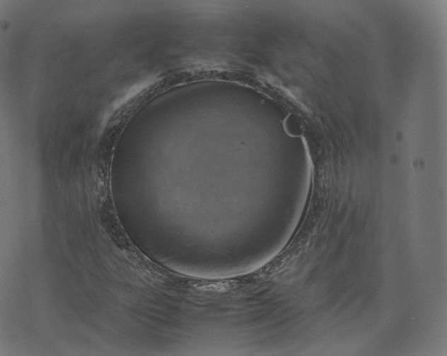 X0000070371303200606231637