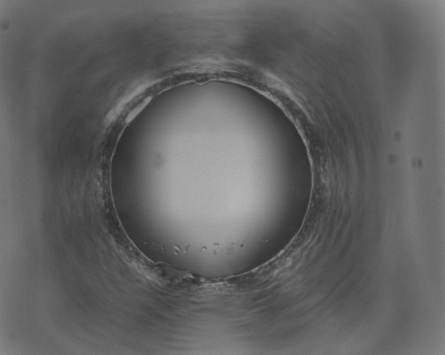 X0000070371304200606231637