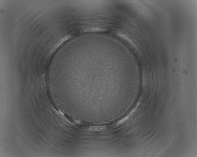 X0000070371305200606231637