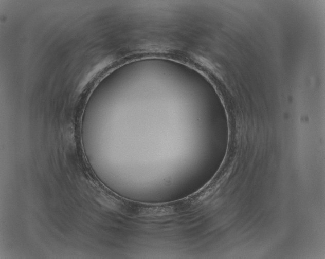 X0000070371307200606231637