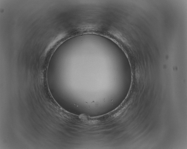 X0000070371309200606231637