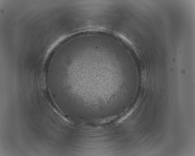 X0000070371310200606231637