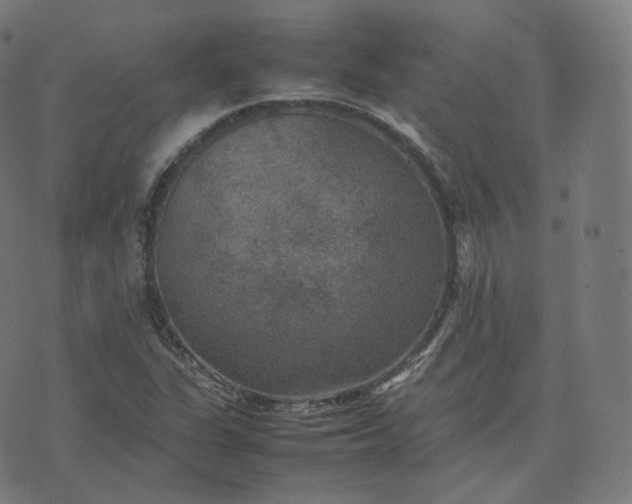 X0000070371311200606231637