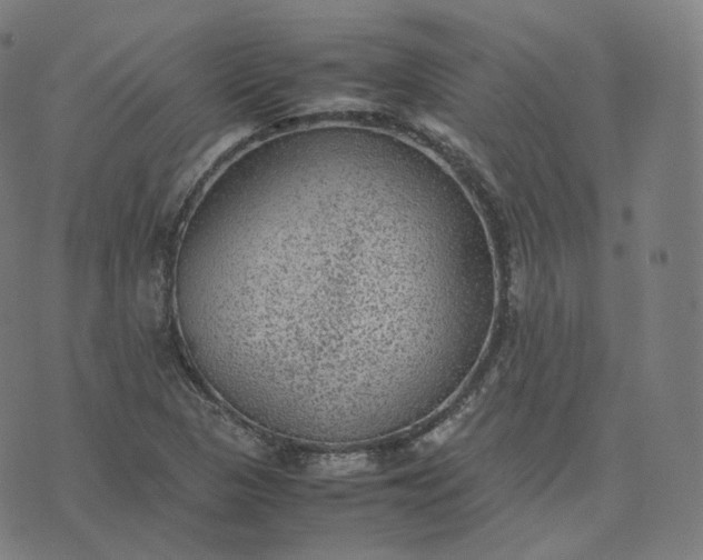 X0000070371313200606231637